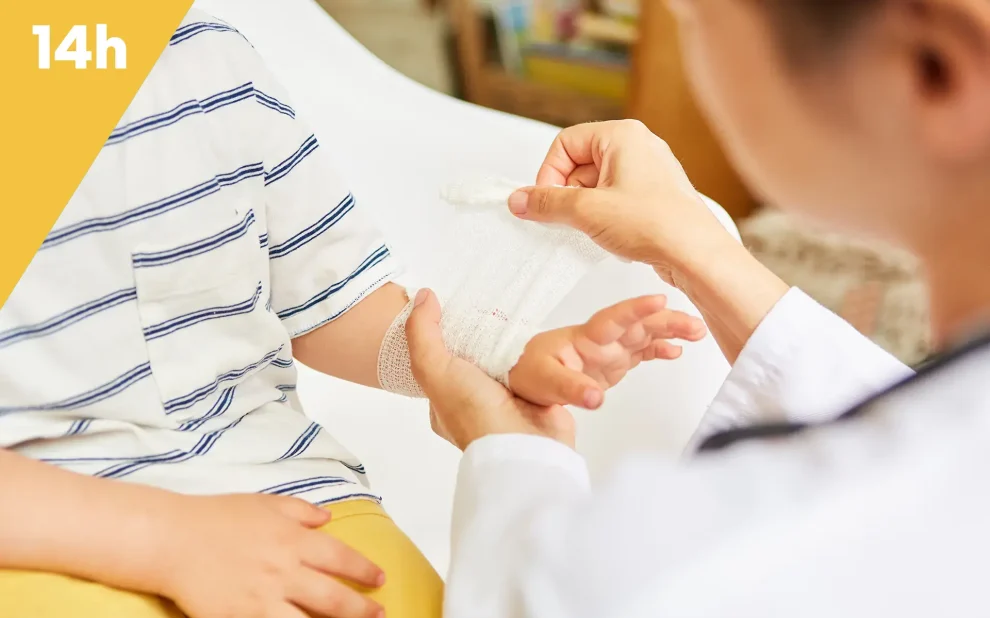 Plaies et processus de cicatrisation intégral